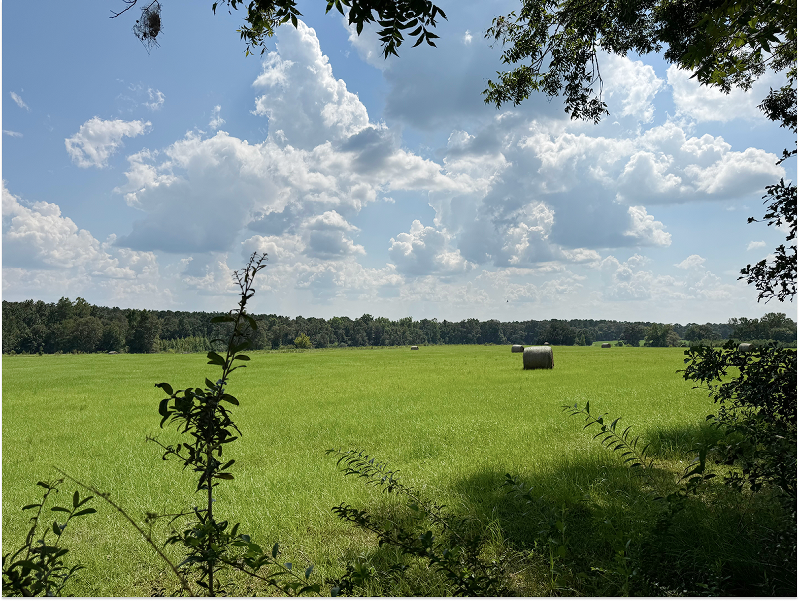 Pecan Hollow entrance